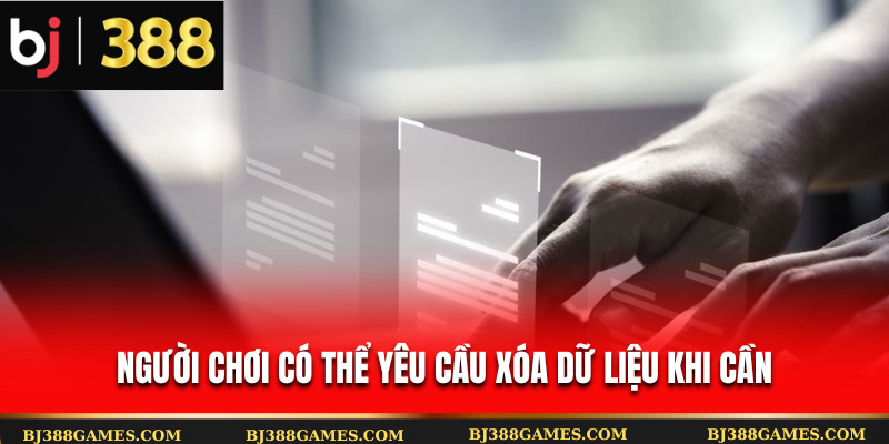 Người chơi có thể yêu cầu xóa dữ liệu khi cần Người chơi có thể yêu cầu xóa dữ liệu khi cần