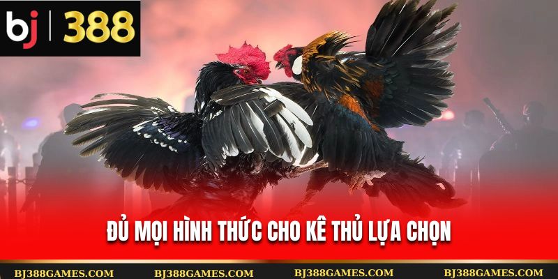 Đủ mọi hình thức cho kê thủ lựa chọn Đủ mọi hình thức cho kê thủ lựa chọn